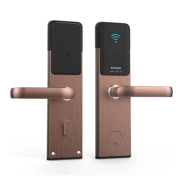 Fungsi Home Electronic Electric Tuya App Wifi Smart Lock